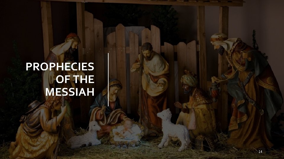 PROPHECIES OF THE MESSIAH 14 