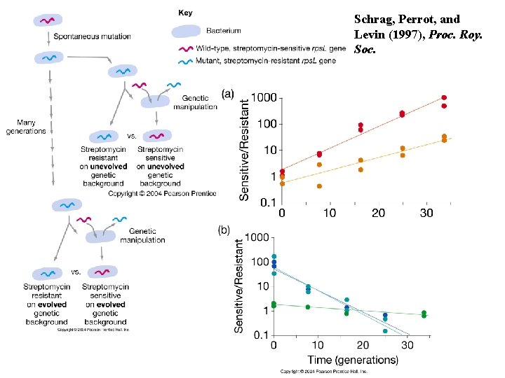 Schrag, Perrot, and Levin (1997), Proc. Roy. Soc. 