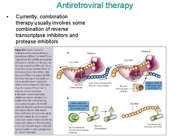 Antiretroviral therapy • Currently, combination therapy usually involves some combination of reverse transcriptase inhibitors