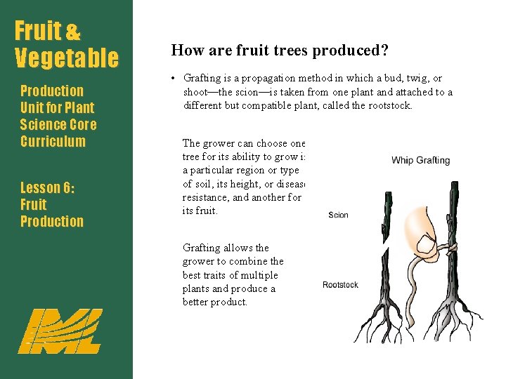 Fruit & Vegetable Production Unit for Plant Science Core Curriculum Lesson 6: Fruit Production