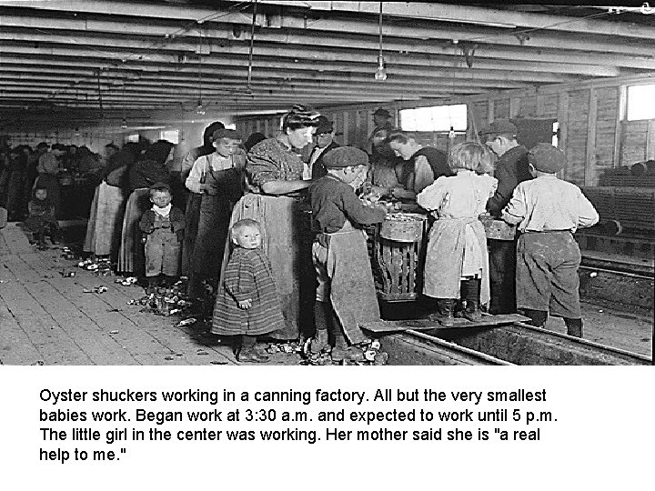 Oyster shuckers working in a canning factory. All but the very smallest babies work.