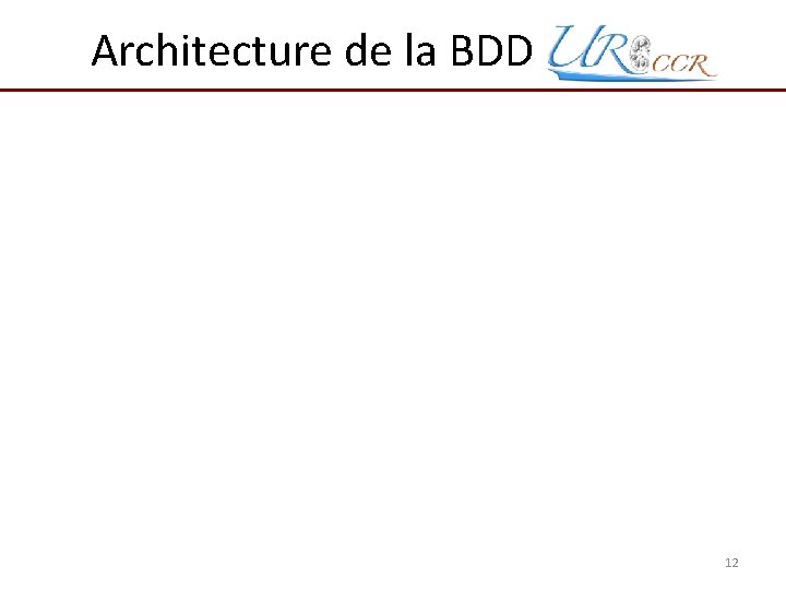 Architecture de la BDD Uro. CCR 12 