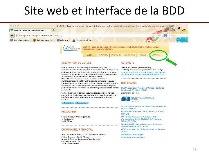 Site web et interface de la BDD 13 