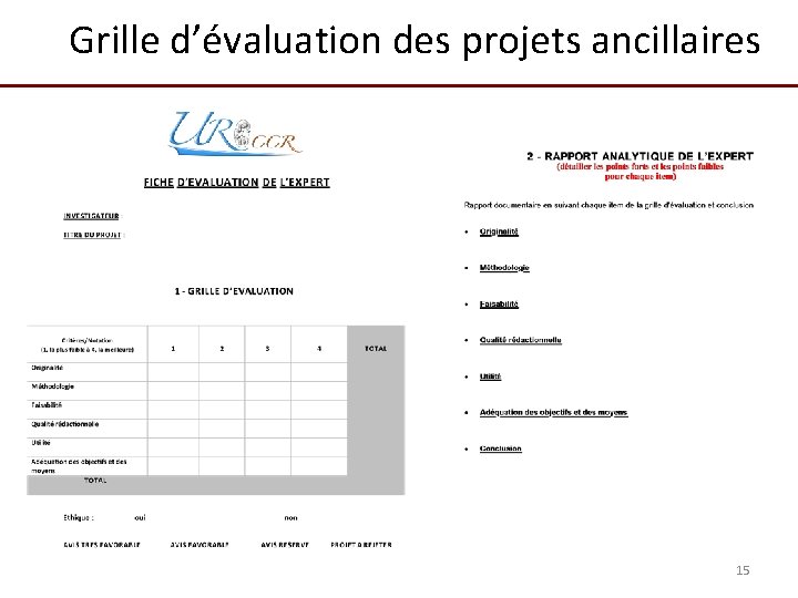 Grille d’évaluation des projets ancillaires 15 