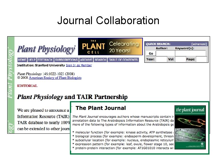 Journal Collaboration 