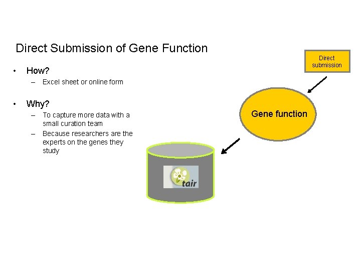 Direct Submission of Gene Function • Direct submission How? – Excel sheet or online