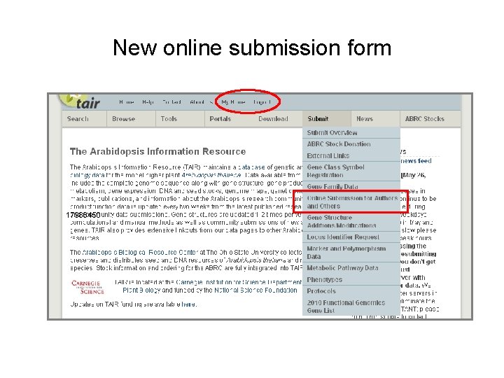 New online submission form 17986450 