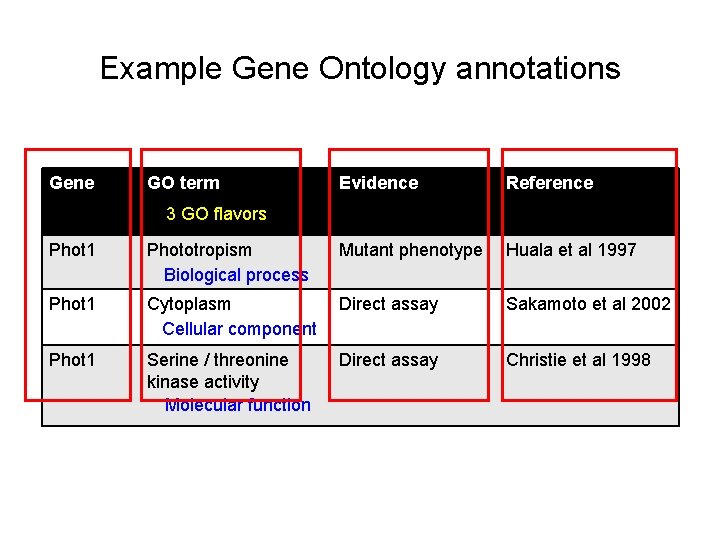Example Gene Ontology annotations Gene GO term Evidence Reference 3 GO flavors Phot 1