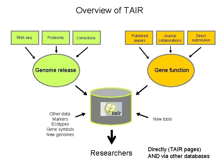 Overview of TAIR RNA-seq Proteomic Corrections Published papers Genome release Journal collaborations Direct submission