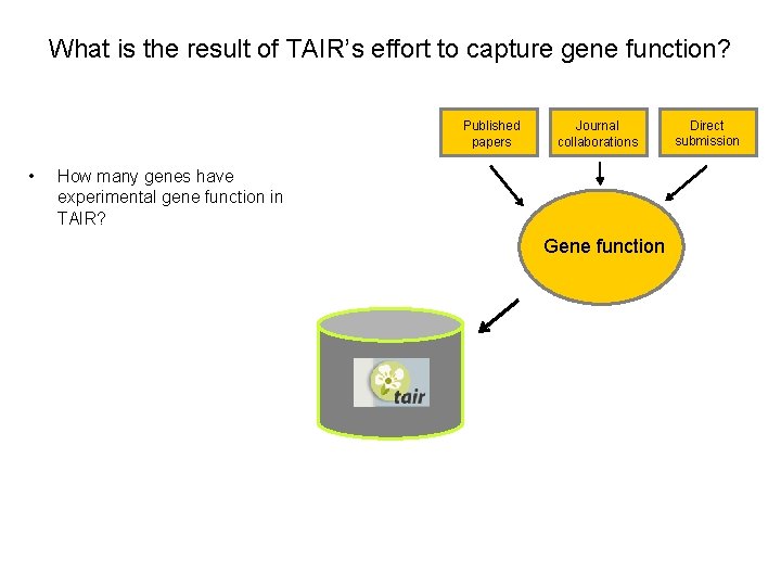 What is the result of TAIR’s effort to capture gene function? Published papers •