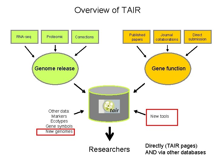 Overview of TAIR RNA-seq Proteomic Corrections Published papers Genome release Journal collaborations Direct submission