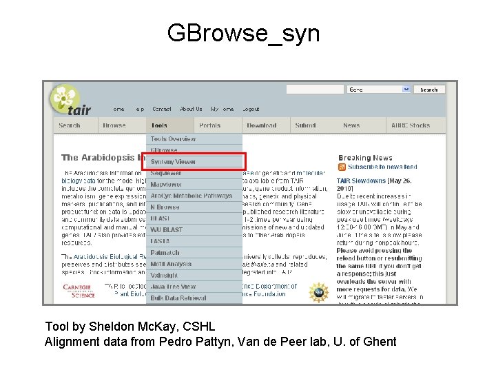 GBrowse_syn Tool by Sheldon Mc. Kay, CSHL Alignment data from Pedro Pattyn, Van de