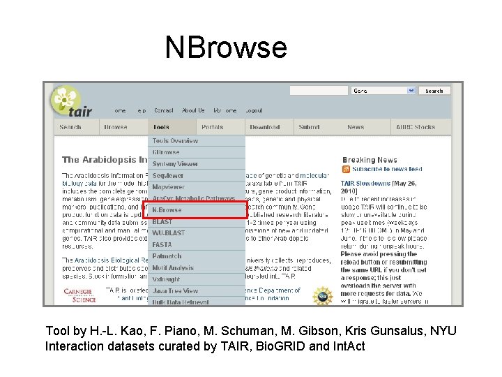 NBrowse Tool by H. -L. Kao, F. Piano, M. Schuman, M. Gibson, Kris Gunsalus,