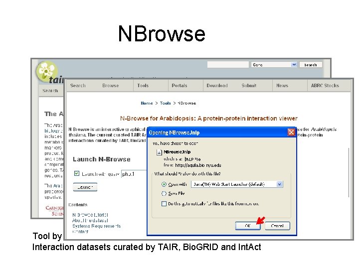 NBrowse Tool by H. -L. Kao, F. Piano, M. Schuman, M. Gibson, Kris Gunsalus,