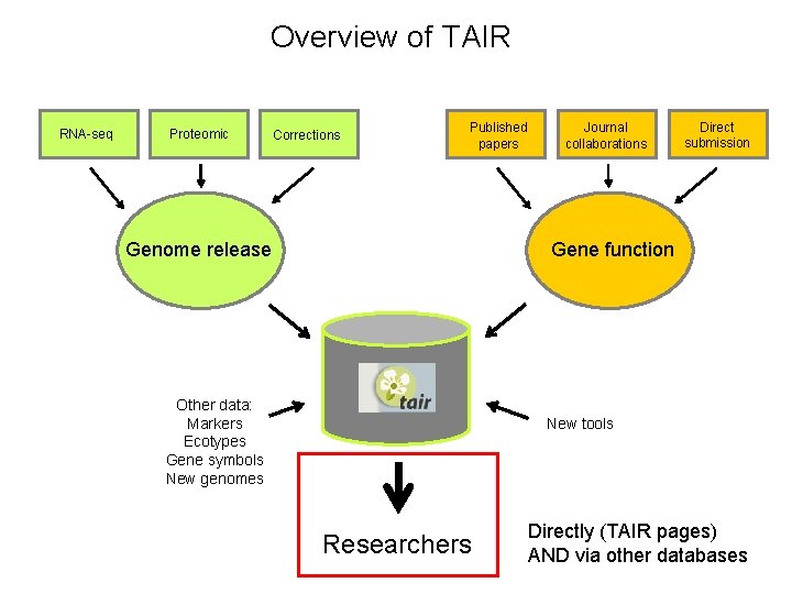 Overview of TAIR RNA-seq Proteomic Corrections Published papers Genome release Journal collaborations Direct submission