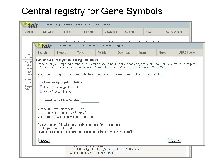 Central registry for Gene Symbols 