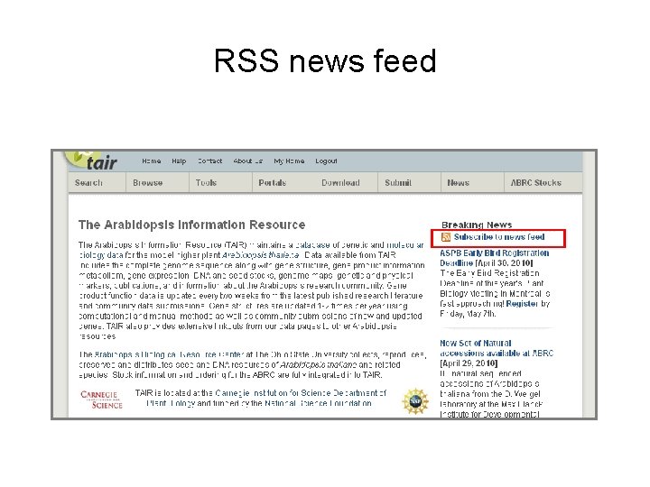 RSS news feed 