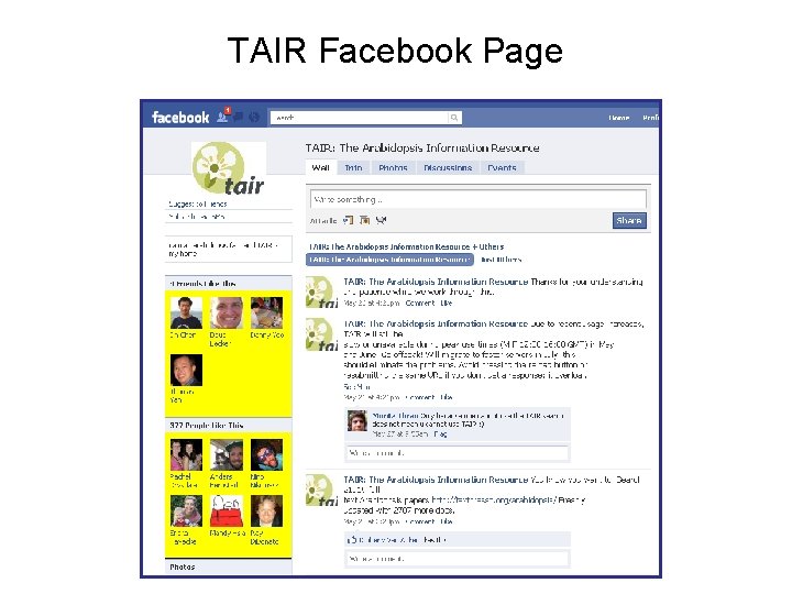 TAIR Facebook Page 