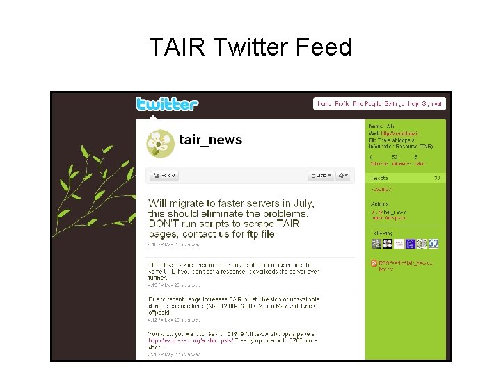 TAIR Twitter Feed 
