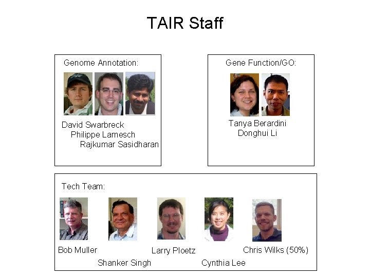 TAIR Staff Genome Annotation: Gene Function/GO: ? David Swarbreck Philippe Lamesch Rajkumar Sasidharan Tanya