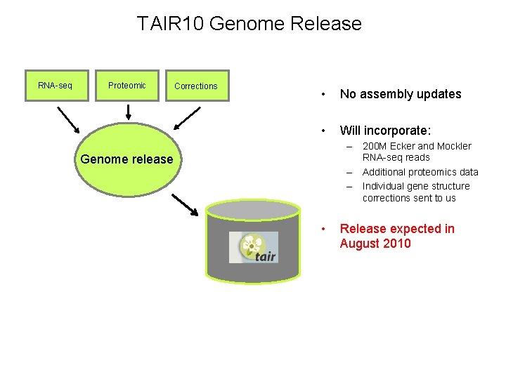 TAIR 10 Genome Release RNA-seq Proteomic Corrections • No assembly updates • Will incorporate: