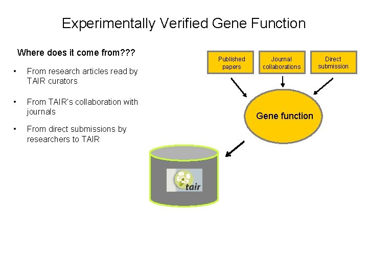 Experimentally Verified Gene Function Where does it come from? ? ? • From research