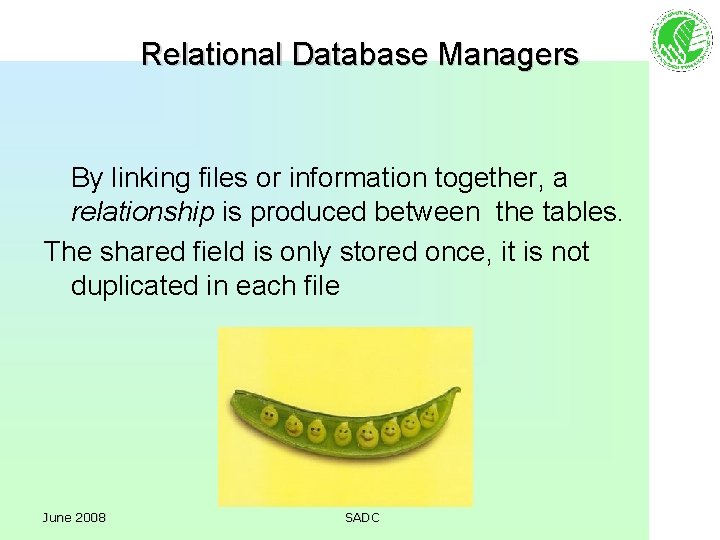 Relational Database Managers By linking files or information together, a relationship is produced between