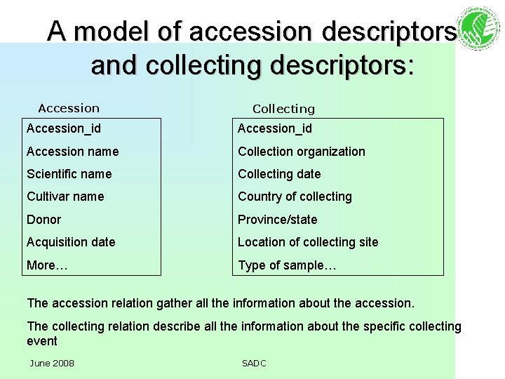 A model of accession descriptors and collecting descriptors: Accession Collecting Accession_id Accession name Collection