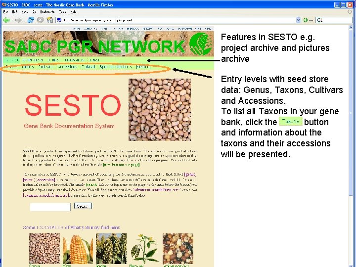 Features in SESTO e. g. project archive and pictures archive Entry levels with seed