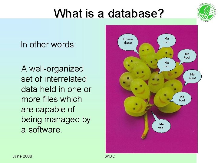 What is a database? I have data! In other words: Me too! A well-organized