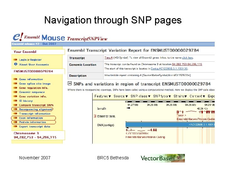 Navigation through SNP pages November 2007 BRC 5 Bethesda 