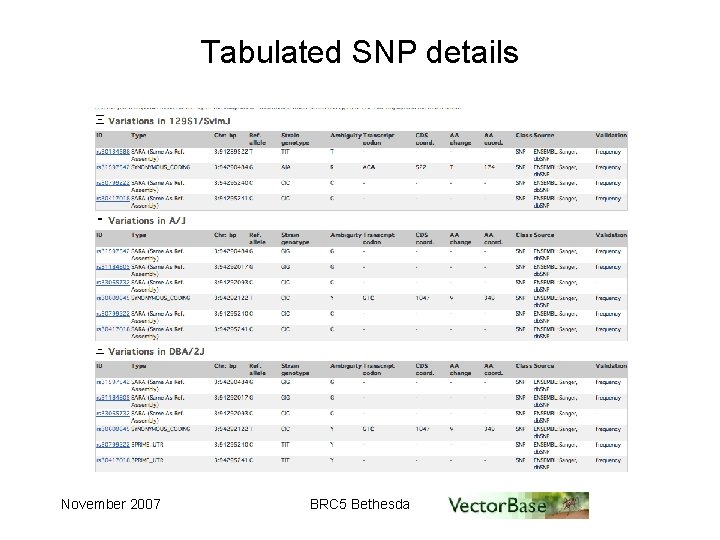 Tabulated SNP details November 2007 BRC 5 Bethesda 