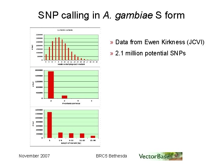 SNP calling in A. gambiae S form » Data from Ewen Kirkness (JCVI) »