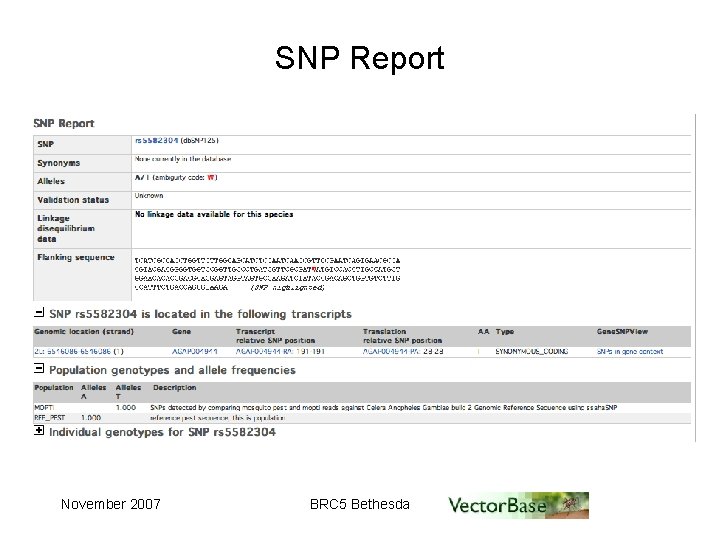 SNP Report November 2007 BRC 5 Bethesda 