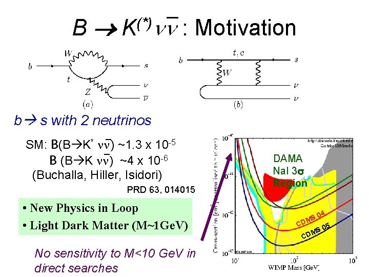 nn : Motivation _ B (*) K b s with 2 neutrinos SM: B(B