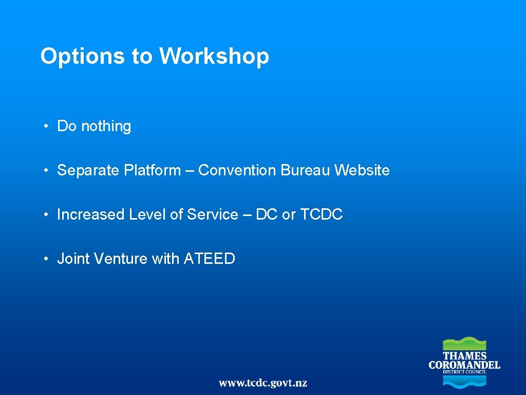 Options to Workshop • Do nothing • Separate Platform – Convention Bureau Website •