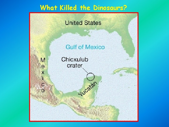 What Killed the Dinosaurs? 