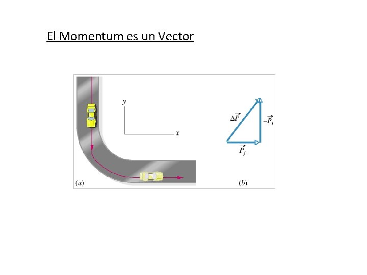 El Momentum es un Vector 