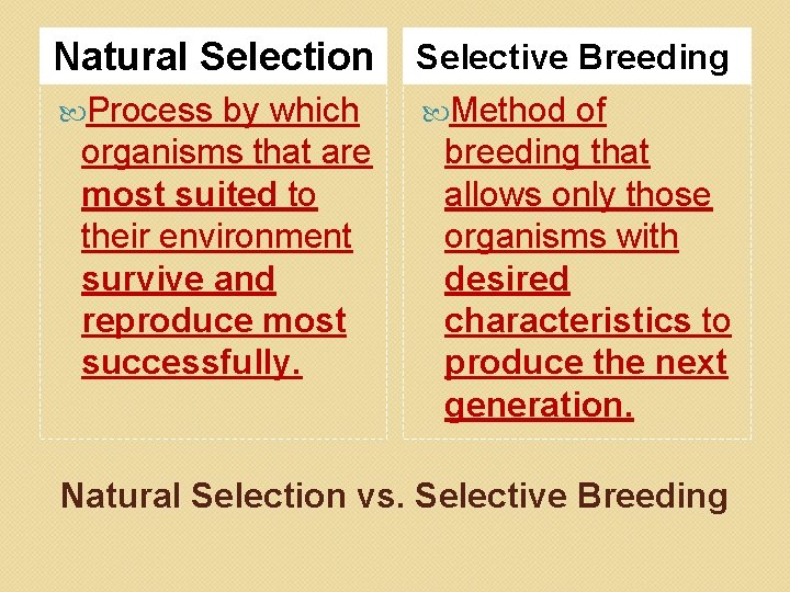 Natural Selection Selective Breeding Process Method by which organisms that are most suited to