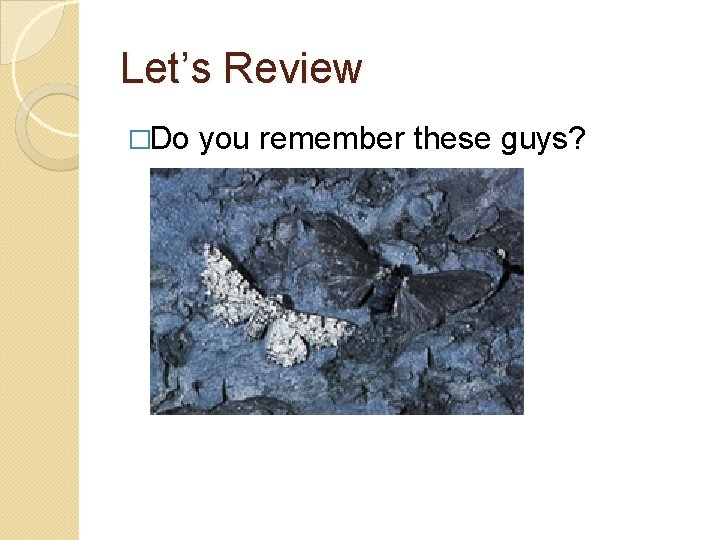 Let’s Review �Do you remember these guys? 