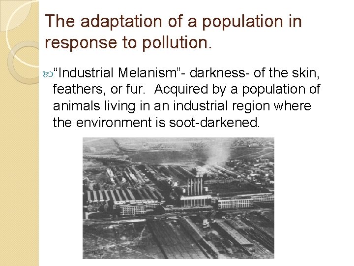 The adaptation of a population in response to pollution. “Industrial Melanism”- darkness- of the