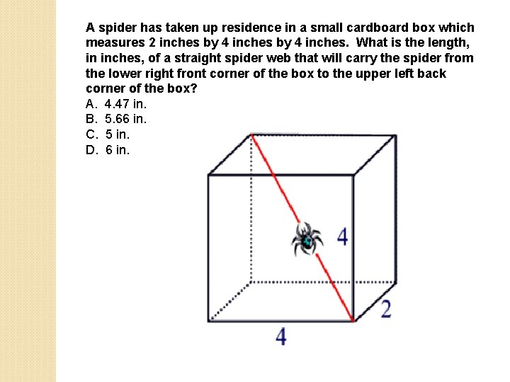 A spider has taken up residence in a small cardboard box which measures 2