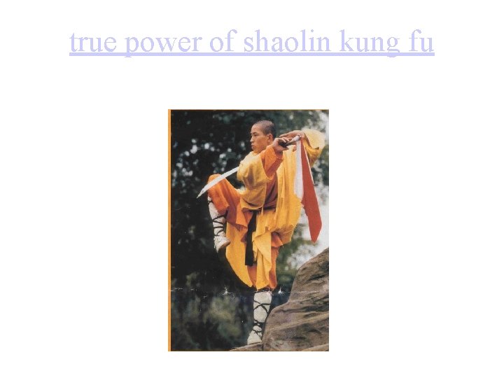 true power of shaolin kung fu 