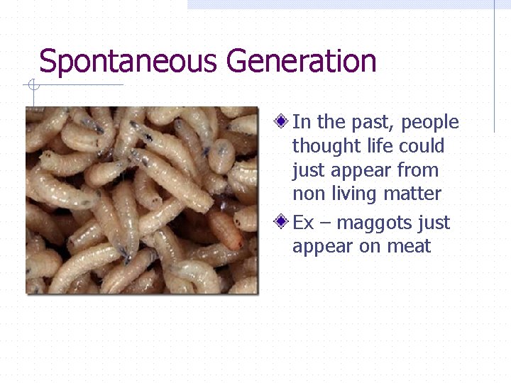 Spontaneous Generation In the past, people thought life could just appear from non living