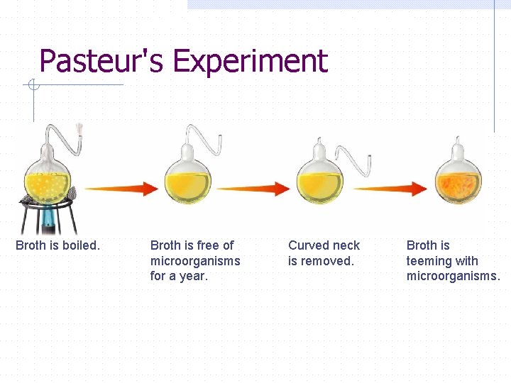 Figure 1 -11 Pasteur’s Experiment Pasteur's Experiment Section 1 -2 Broth is boiled. Go
