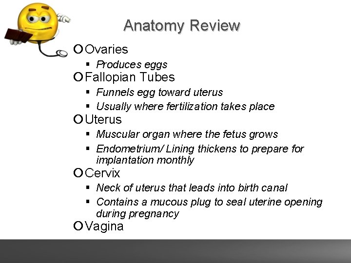 Anatomy Review Ovaries Produces eggs Fallopian Tubes Funnels egg toward uterus Usually where fertilization