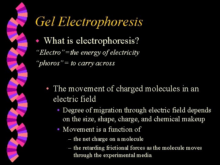 Gel Electrophoresis w What is electrophoresis? “Electro”=the energy of electricity “phoros”= to carry across