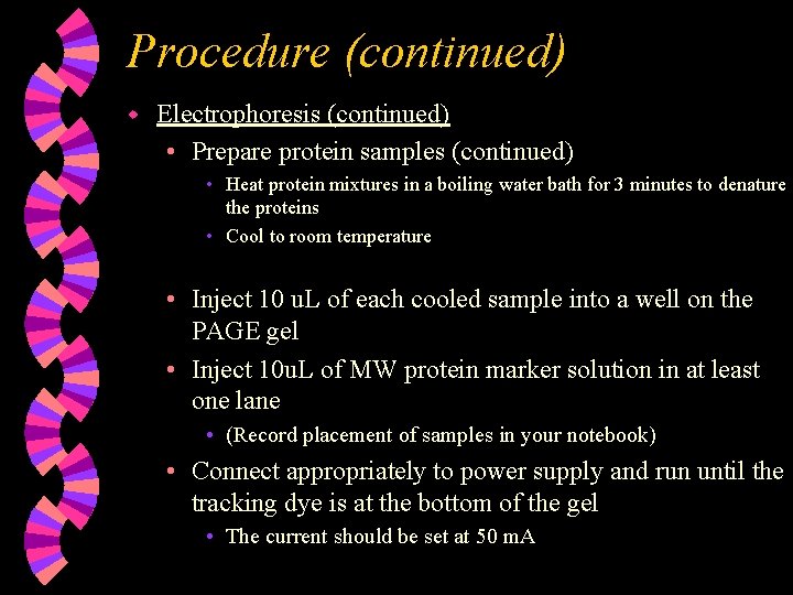 Procedure (continued) w Electrophoresis (continued) • Prepare protein samples (continued) • Heat protein mixtures