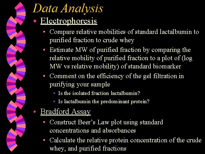 Data Analysis w Electrophoresis • Compare relative mobilities of standard lactalbumin to purified fraction