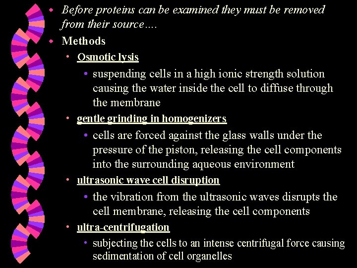 Before proteins can be examined they must be removed from their source…. w Methods